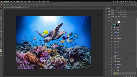 Adobe Photoshop CC v2020 latest software