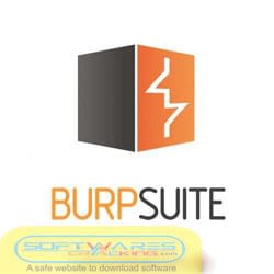 Burp Suite Professional 2021 crack download with serial key
